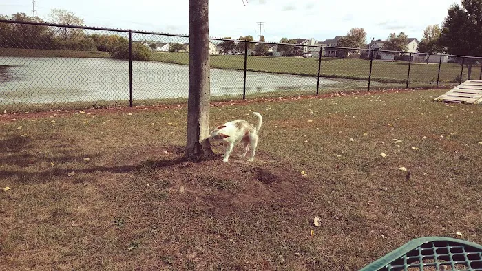 Sturtevant Dog Park 7