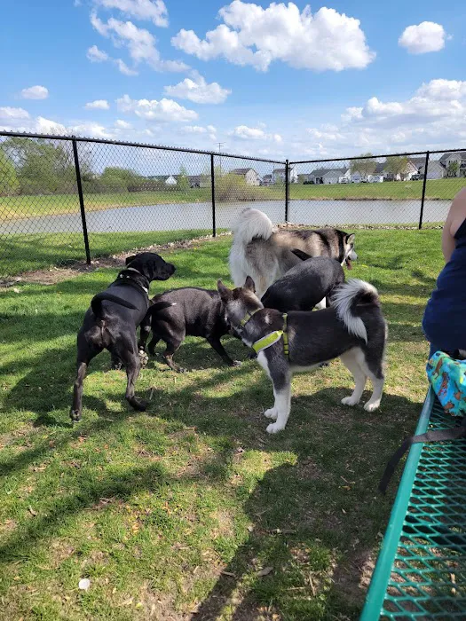 Sturtevant Dog Park 5