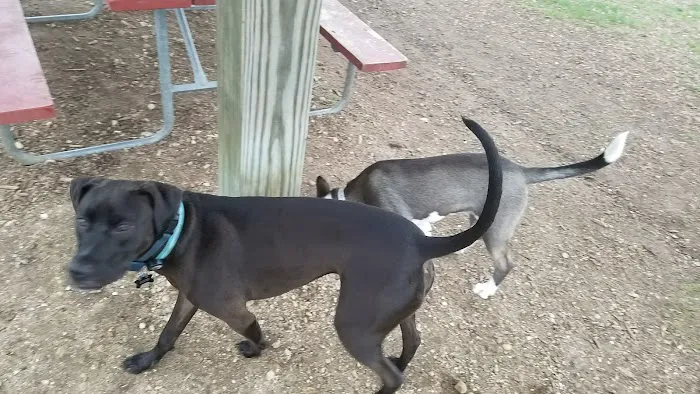 Warren Close Bark Park 6