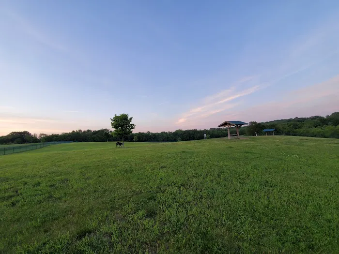 Warren Close Bark Park 4