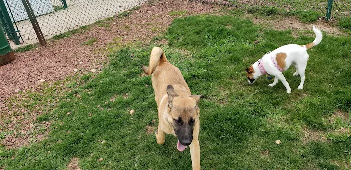 Warren Close Bark Park 7