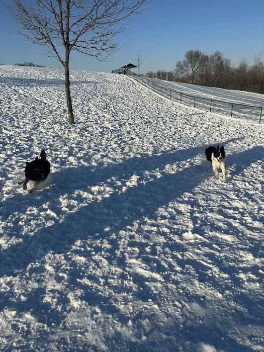 Warren Close Bark Park 9