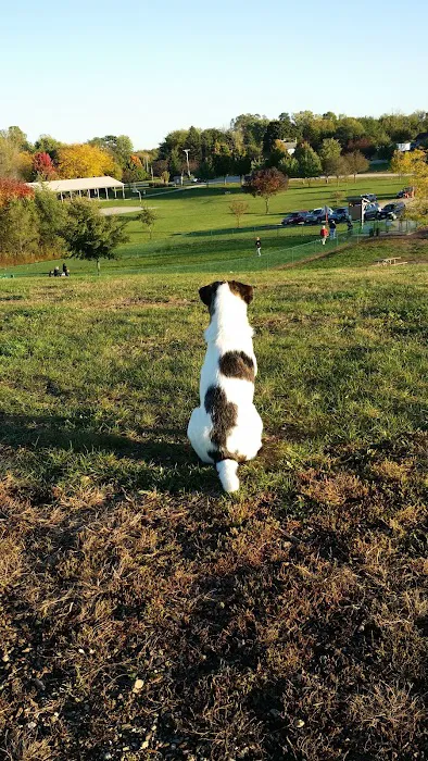 Warren Close Bark Park 5