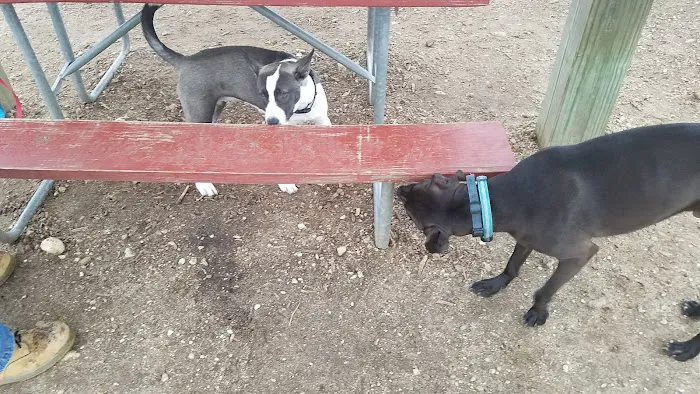 Warren Close Bark Park 3