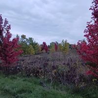St Boneventure pond ico