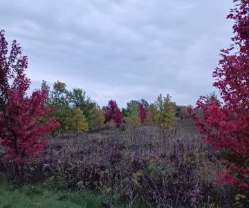St Boneventure pond