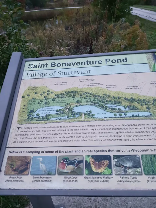 St Boneventure pond 3
