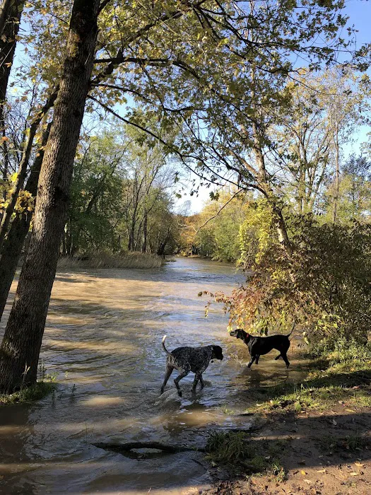 Caledonia Dog Park, dog water landing 2 5