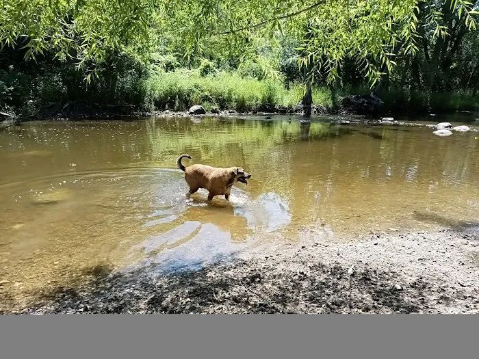 Caledonia Dog Park, dog water landing 2 7