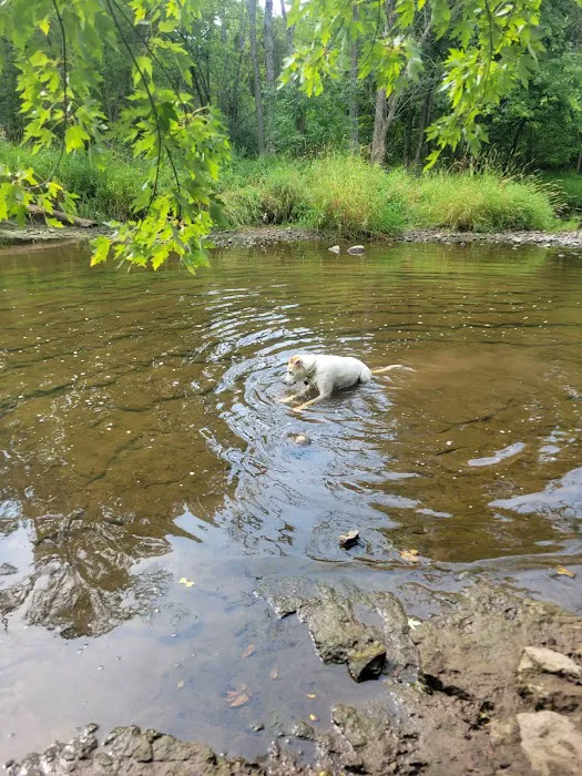 Caledonia Dog Park, dog water landing 2 8