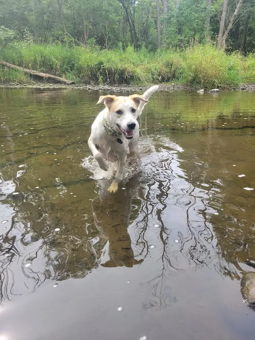 Caledonia Dog Park, dog water landing 2 6