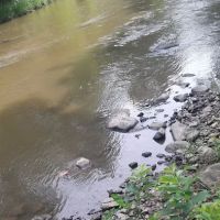 Caledonia Dog Park, dog water landing 2 ico