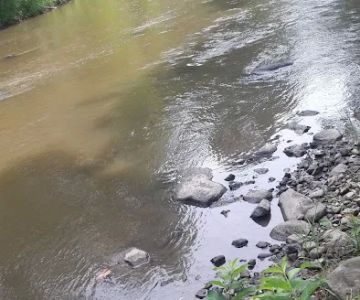 Caledonia Dog Park, dog water landing 2