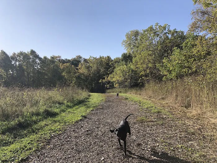 Caledonia Dog Park, dog water landing 2 4