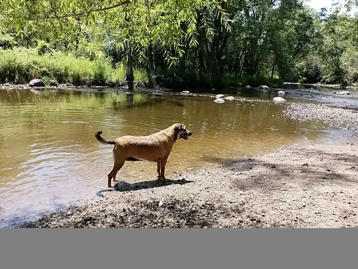 Caledonia Dog Park, Dog Beach Area 1 9