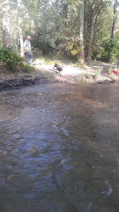 Caledonia Dog Park, Dog Beach Area 1 6