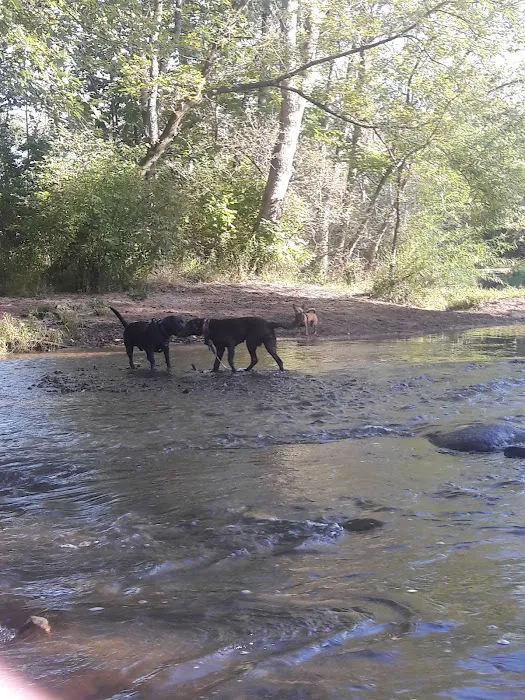 Caledonia Dog Park, Dog Beach Area 1 10