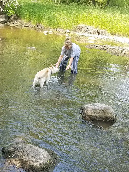 Caledonia Dog Park, Dog Beach Area 1 4