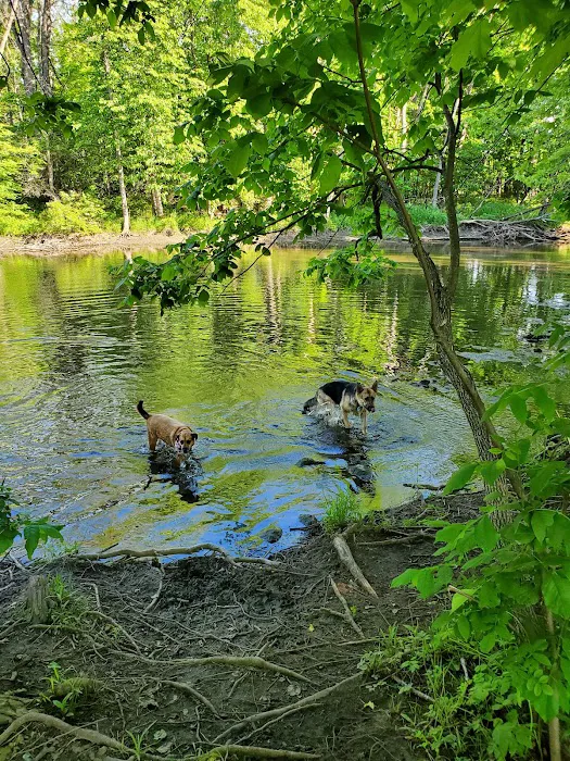 Caledonia Dog Park, Dog Beach Area 1 5