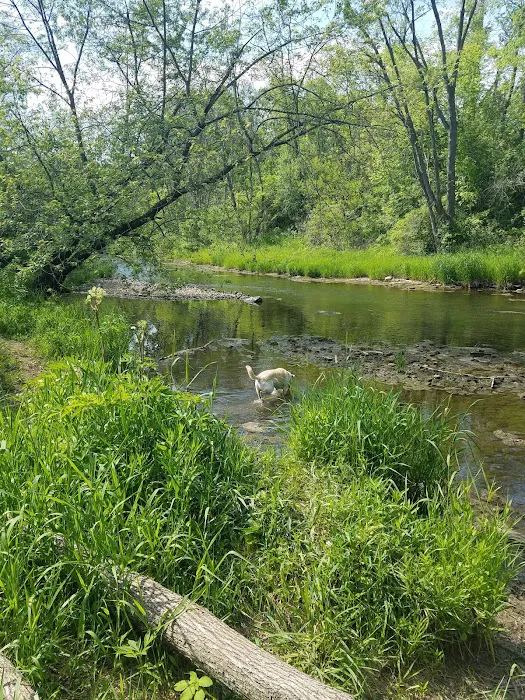 Caledonia Dog Park, Dog Beach Area 1 1