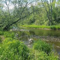 Caledonia Dog Park, Dog Beach Area 1 ico