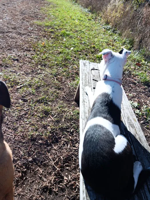 Caledonia Dog Park, Dog water Landing 1 2