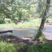Caledonia Dog Park, Dog water Landing 1 ico