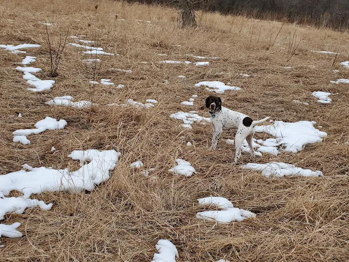 Caledonia Dog Park, Pond 9