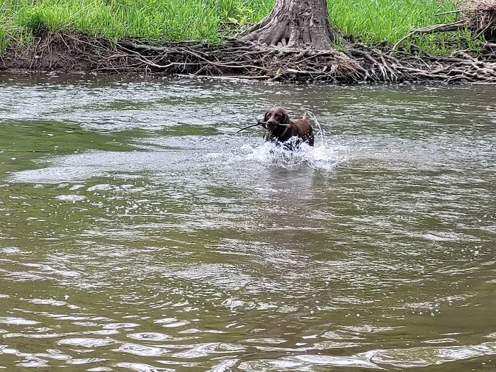 Caledonia Dog Park, Pond 8