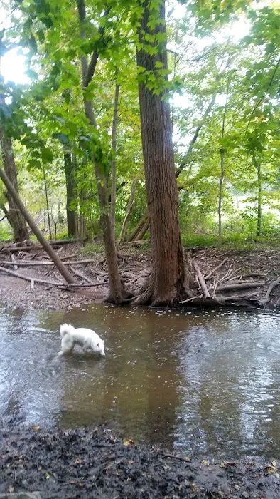 Caledonia Dog Park, Pond 3