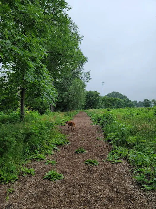 Caledonia Dog Park, Pond 10