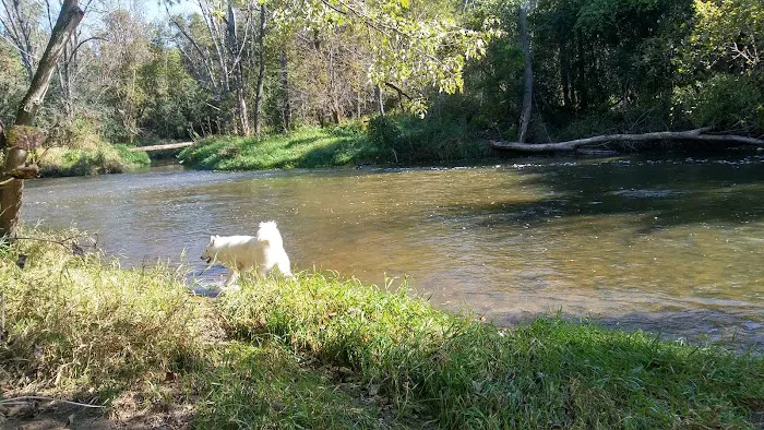 Caledonia Dog Park, Pond 4