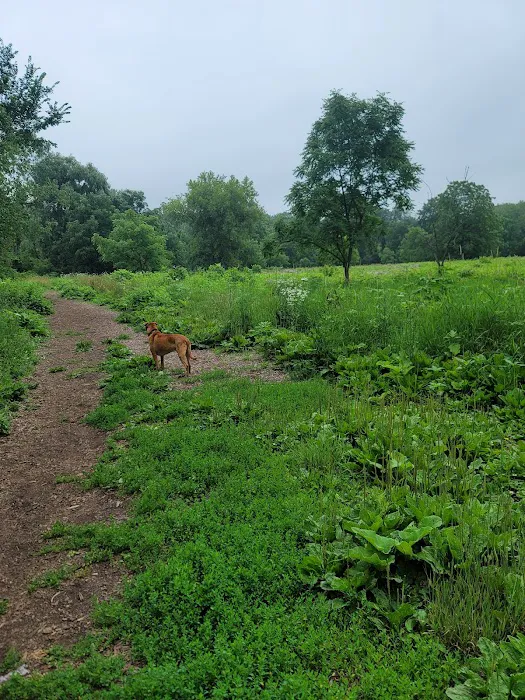 Caledonia Dog Park, Pond 7
