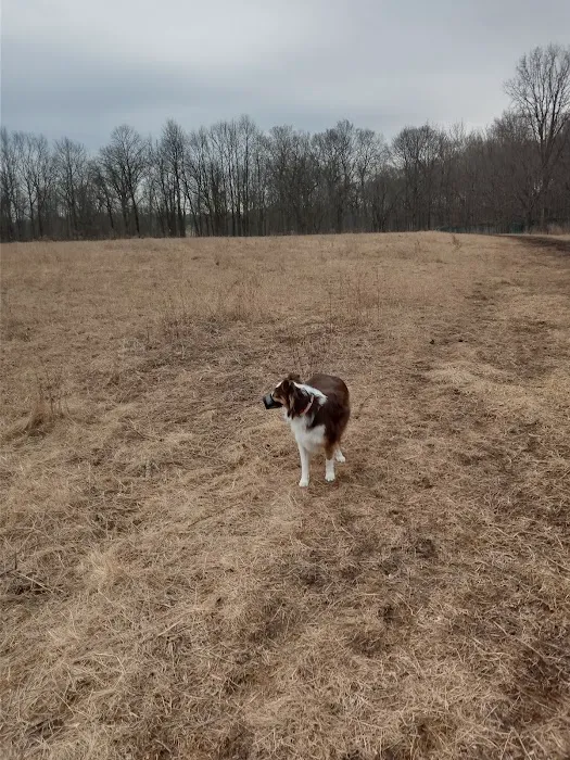 Caledonia Dog Park, Pond 5