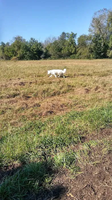 Caledonia Dog Park, Pond 1
