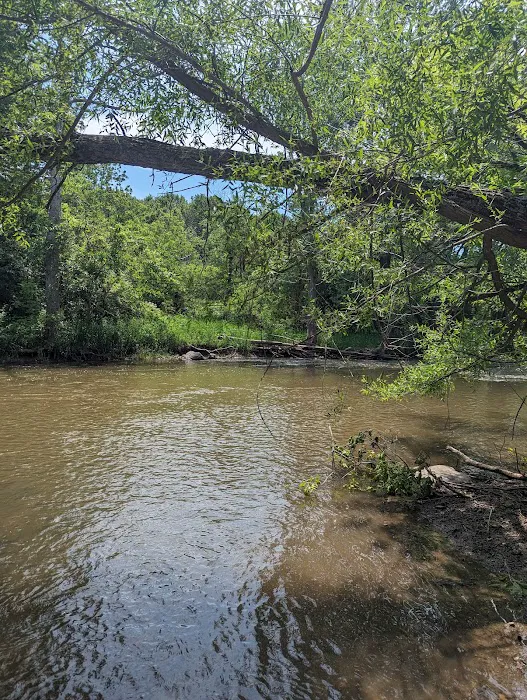 Caledonia Dog Park, Pond 6