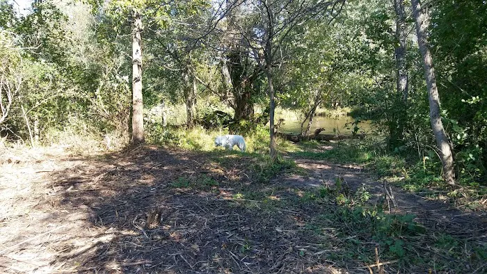 Caledonia Dog Park, Pond 2