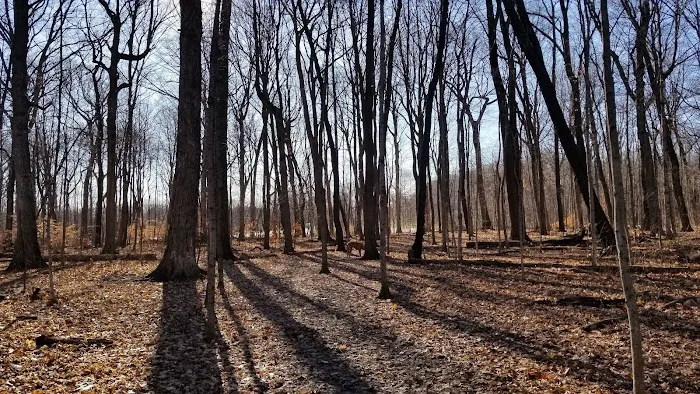 Caledonia Dog Park 9