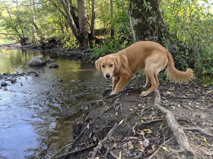 Caledonia Dog Park 6