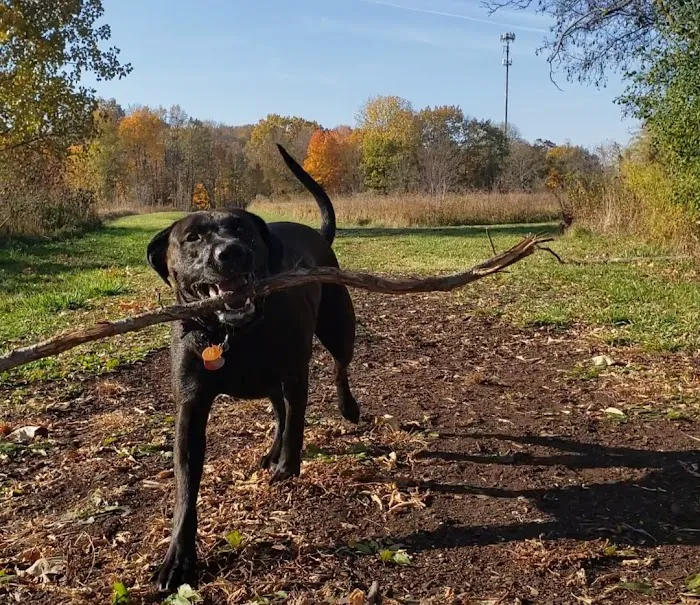 Caledonia Dog Park 2