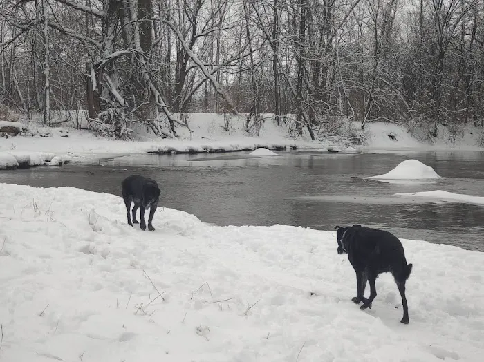 Caledonia Dog Park 3