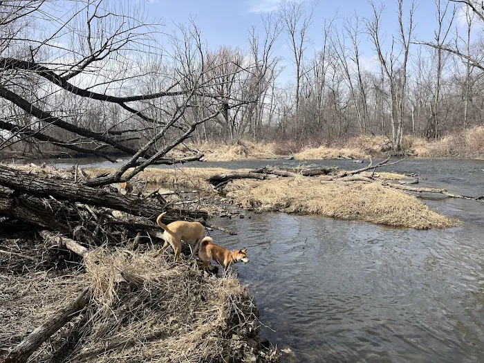 Caledonia Dog Park 10