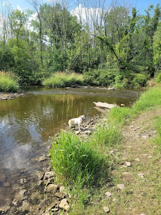 Caledonia Dog Park 1