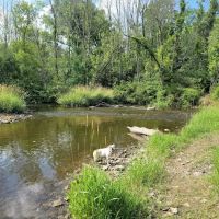 Caledonia Dog Park ico