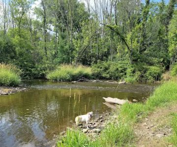 Caledonia Dog Park