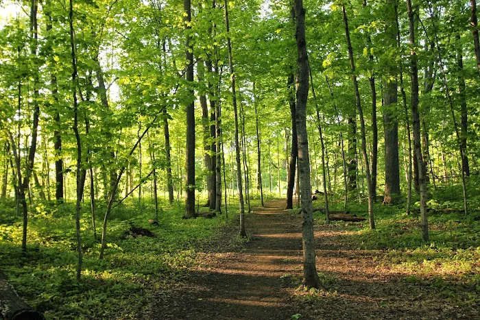 Caledonia Dog Park 8