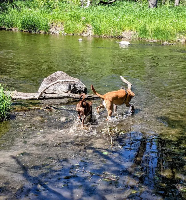 Caledonia Dog Park 5