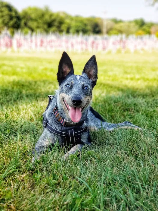 James O. Breen Community Dog Park 6