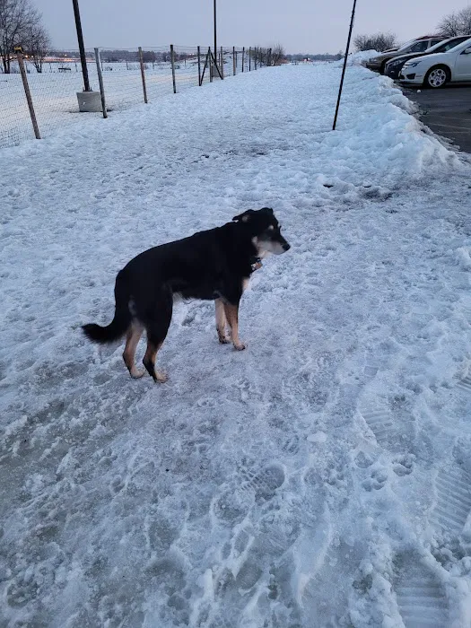 James O. Breen Community Dog Park 3
