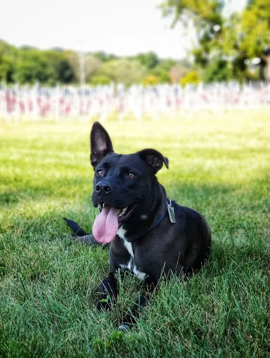 James O. Breen Community Dog Park 7